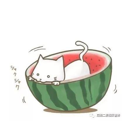 q q吃瓜合集,盘点网络热议事件背后的真相与笑料