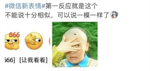 吃瓜解剖事件,揭秘网络事件背后的真相与争议