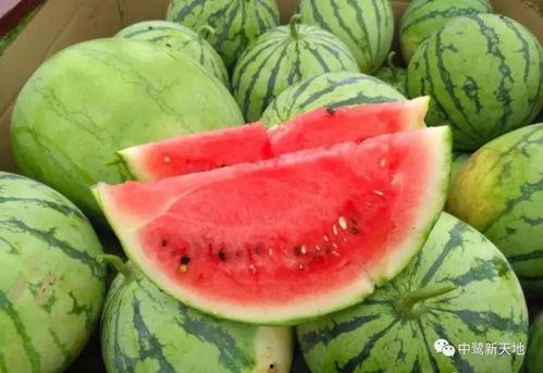 吃瓜快爆,吃瓜快爆带你直击明星幕后真相