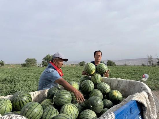 每天起床就是吃瓜,我的吃瓜日常