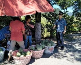 吃瓜群众茶馆视频,一场别开生面的视频盛宴