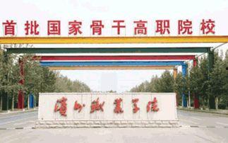 吃瓜滨州职业学院,揭秘“吃瓜”背后的校园生活与文化现象