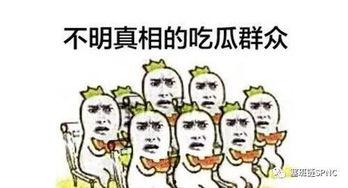 吃瓜群众入境了吗现在,真相大白！