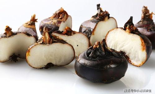 瓜哥吃瓜最最奇葩的蘑菇,揭秘最奇葩蘑菇的神秘世界