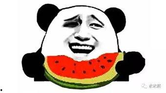 三星吃瓜群众,揭秘科技巨头背后的故事