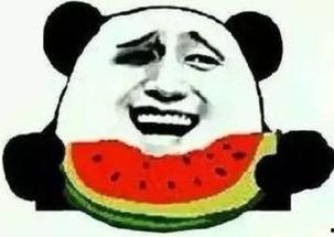 深夜鸡汤吃瓜群众,心灵慰藉与娱乐狂欢的交织