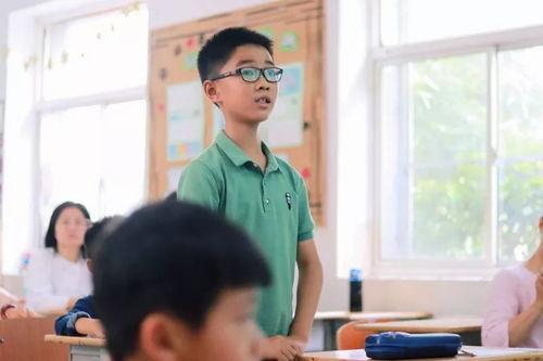 吃瓜小小少年,揭秘校园里的那些“瓜”