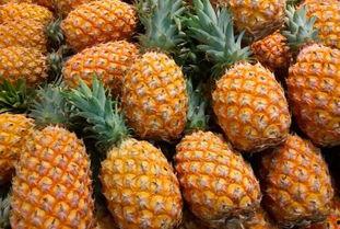 吃瓜群众小菠萝,吃瓜群众的趣味生活点滴