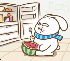 吃瓜带回家,揭秘瓜果美食的诱惑与魅力