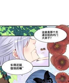 吃瓜女主的日常,吃瓜女主的欢乐生活点滴