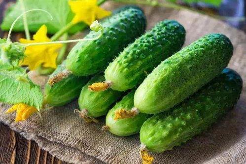 有人晒花有人吃瓜,生活百态，共享人间烟火