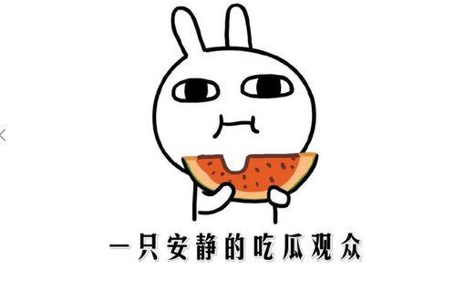对吃瓜的形容,揭秘吃瓜群众的欢乐时光