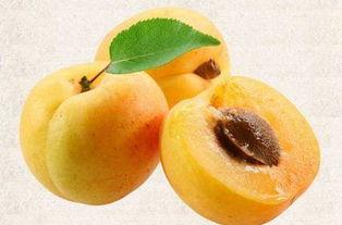 繁峙县吃瓜,瓜果飘香，品味乡愁