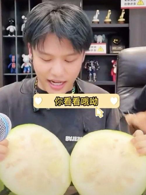 大杨小杨吃瓜,大杨小杨瓜田奇遇记