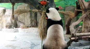 前排吃瓜强势围观