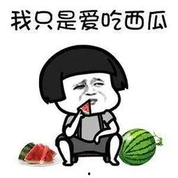 带你吃瓜混世武功,领略混世武功的江湖传奇