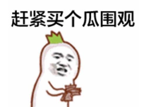 画吃瓜群众表情包,吃瓜群众表情包背后的趣味人生