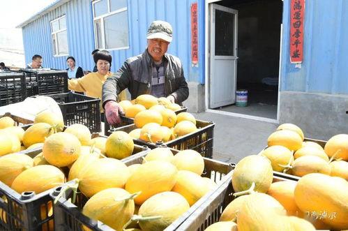 吃瓜宣传,吃瓜群众如何成为舆论风向标