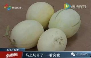 吃蜜瓜女子,甜蜜邂逅，浪漫启程