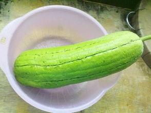 无锡水瓜怎么吃,解锁夏日清新美味