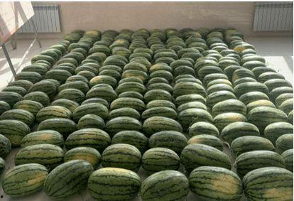 昆明吃瓜新闻,揭秘网络舆论背后的真相与反思