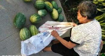 最近鹿邑吃瓜事件,一场网络舆论的风暴与反思